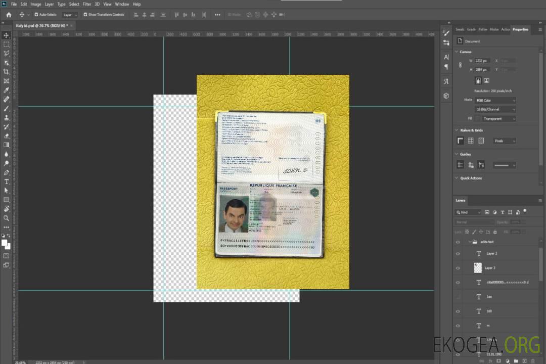 Look photo du passeport français template Look photo du passeport français template